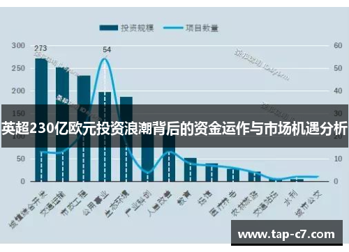英超230亿欧元投资浪潮背后的资金运作与市场机遇分析 英超230亿欧元投资浪潮背后的资金运作与市场机遇分析