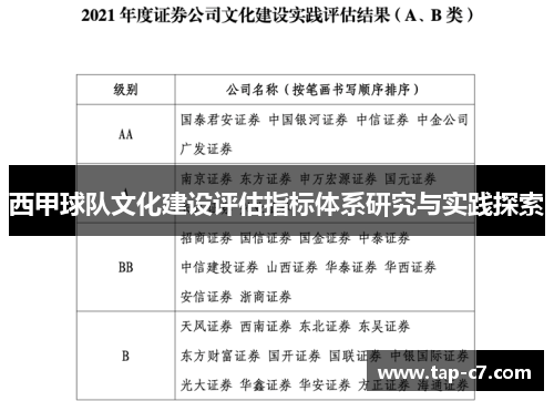 西甲球队文化建设评估指标体系研究与实践探索 西甲球队文化建设评估指标体系研究与实践探索