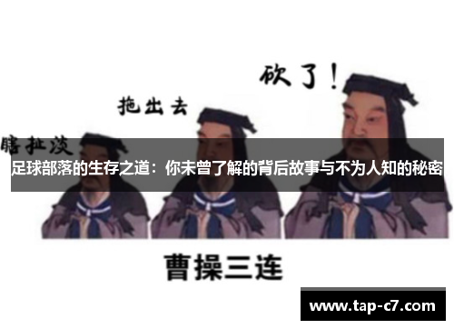 足球部落的生存之道:你未曾了解的背后故事与不为人知的秘密 足球部落的生存之道:你未曾了解的背后故事与不为人知的秘密