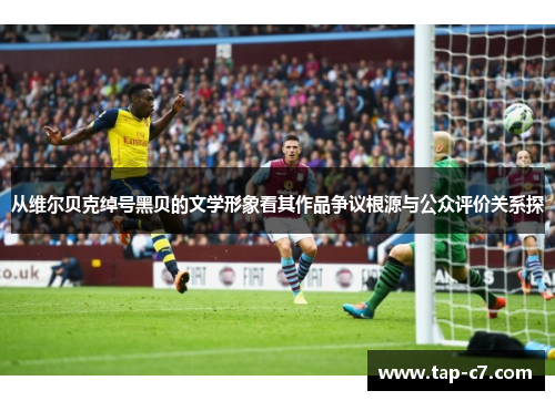从维尔贝克绰号黑贝的文学形象看其作品争议根源与公众评价关系探