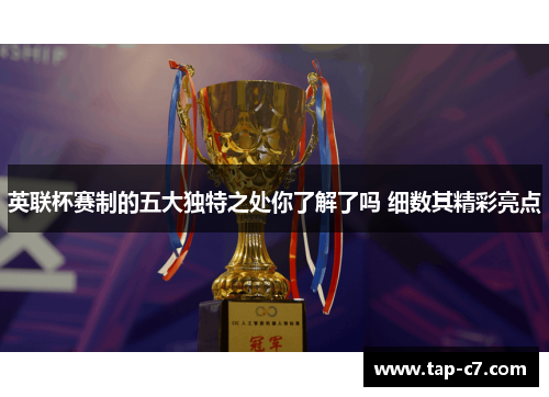 英联杯赛制的五大独特之处你了解了吗 细数其精彩亮点 英联杯赛制的五大独特之处你了解了吗 细数其精彩亮点