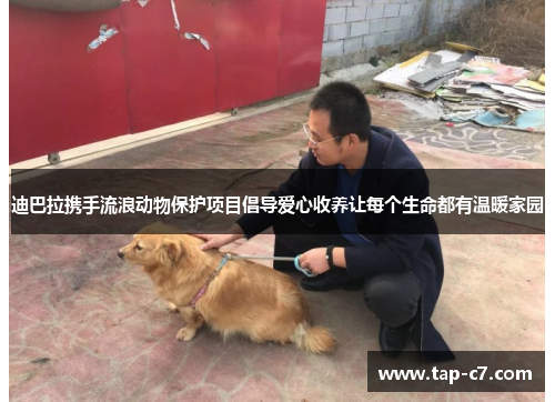 迪巴拉携手流浪动物保护项目倡导爱心收养让每个生命都有温暖家园 迪巴拉携手流浪动物保护项目倡导爱心收养让每个生命都有温暖家园