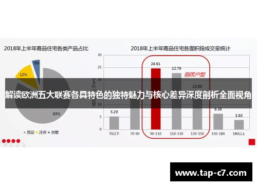 解读欧洲五大联赛各具特色的独特魅力与核心差异深度剖析全面视角