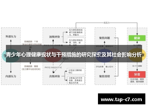 青少年心理健康现状与干预措施的研究探索及其社会影响分析