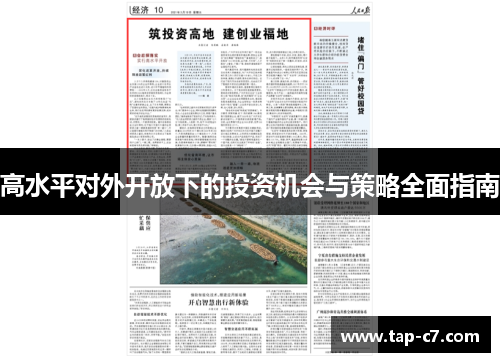 高水平对外开放下的投资机会与策略全面指南