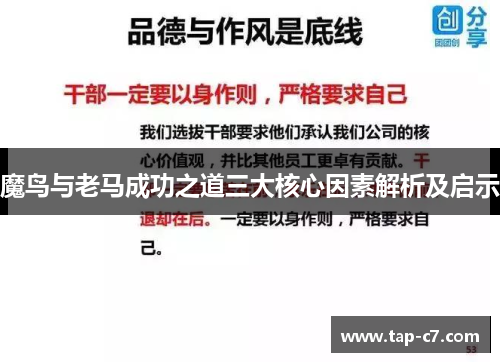 魔鸟与老马成功之道三大核心因素解析及启示