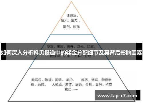 如何深入分析科贝报道中的奖金分配细节及其背后影响因素