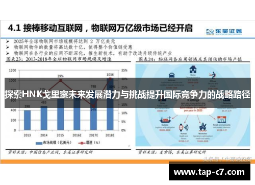 探索HNK戈里察未来发展潜力与挑战提升国际竞争力的战略路径 探索HNK戈里察未来发展潜力与挑战提升国际竞争力的战略路径