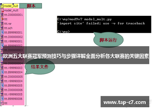 欧洲五大联赛冠军预测技巧与步骤详解全面分析各大联赛的关键因素