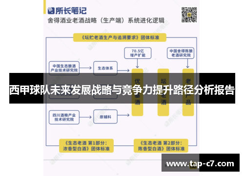 西甲球队未来发展战略与竞争力提升路径分析报告 西甲球队未来发展战略与竞争力提升路径分析报告