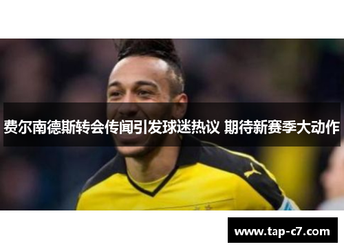 费尔南德斯转会传闻引发球迷热议 期待新赛季大动作