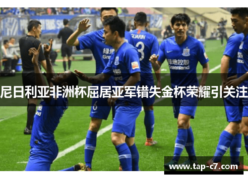 尼日利亚非洲杯屈居亚军错失金杯荣耀引关注