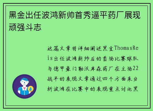 黑金出任波鸿新帅首秀逼平药厂展现顽强斗志