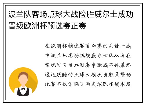 波兰队客场点球大战险胜威尔士成功晋级欧洲杯预选赛正赛