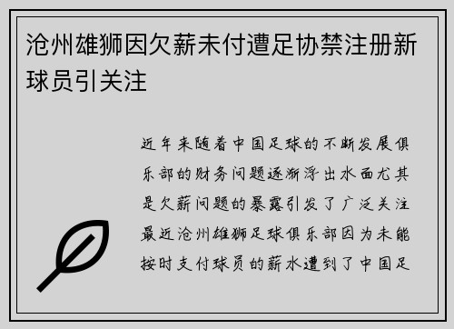 沧州雄狮因欠薪未付遭足协禁注册新球员引关注